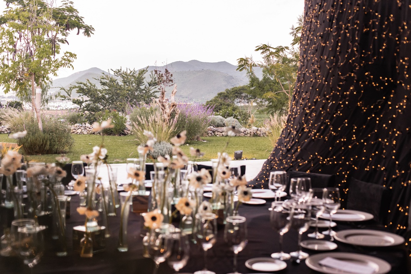 Fuente de Piedra garden with Mediterranean style