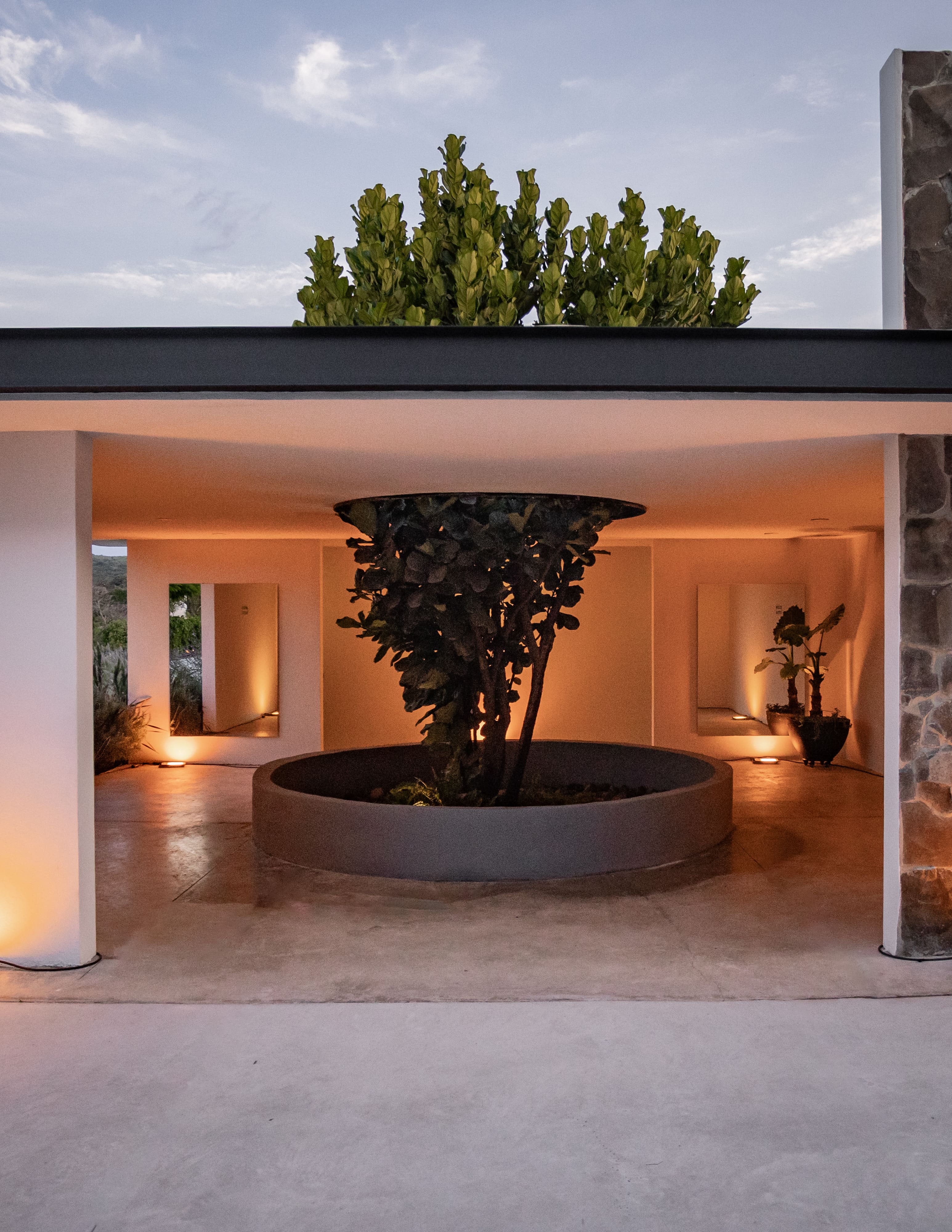 Distribuidor de Baños de Invitados